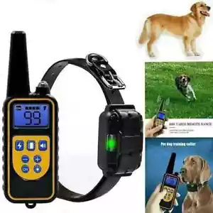 800m Cani Collare Addestramento Impermeabile Ricaricabile Scossa Elettrica LCD - Foto 1 di 4