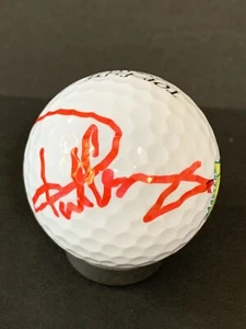PGA TOUR GOLF SUPERESTRELLA PAUL CASEY PELOTA DE GOLF AUTOGRAFIADA FIRMADA - Imagen 1 de 2