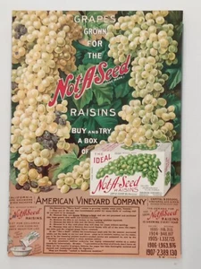 Not-A-Seed Rosinen Druck Werbung 1908 vollfarbig American Vineyard Trauben - Bild 1 von 3