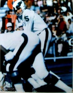 ROMAN GABRIEL UNSIGNED EAGLES 8X10 #1 - Picture 1 of 1