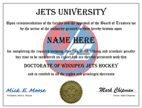 WINNIPEG JETS PERSONALIZED FAN DIPLOMA, GREAT GIFT NHL HOCKEY PUCK STICK Cover