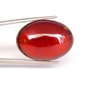 SHOLA Echt 43,38 Ct Natürlicher Tief Orange Rot Hessonit Granat Riesig Ceylon - Bild 1 von 4