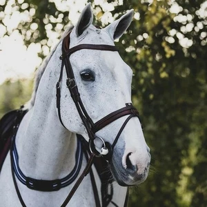 Antares Precision Anatomic Comfort Flash Bridle - Picture 1 of 3