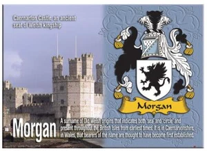 Imán metálico de recuerdo de apellido familiar inglés Morgan - Imagen 1 de 2
