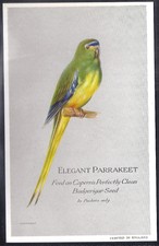 CAPERN-BRITISH & FOREIGN BIRDS (P54 PLAIN BACK)-#33- ELEGANT PARRAKEET 
