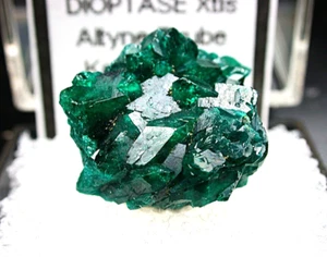 MINERALS : DIOPTASE CRYSTAL GROUP O TINY MATRIX FROM TYPE LOCALITY IN KAZAKHSTAN - Picture 1 of 1