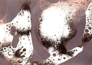 Tonito Original art Chemigram.KODAK Silver photo Paper.Alternative photograph 38 - Picture 1 of 1