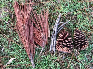 Natural Fire Starters Kindling Dried Pine Needles Sticks And Pine Cones - Picture 1 of 1