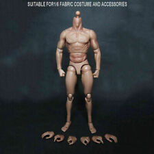 12inch Male Toys Action Figure Muscular Body For 1/6 Scale Man No Head Toy Model