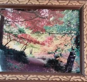 Autumn Pathway Photo Art Print Wood Picture Frame Fall Foliage Leaf Colorado - Picture 1 of 24