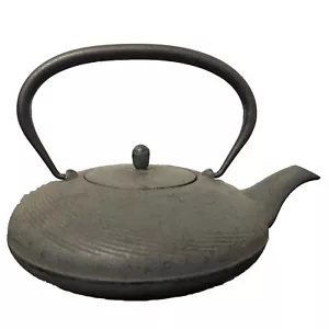 Nanbu Tekki Teapot kettle Oigen Iron Kettle Flat Itome - Picture 1 of 10