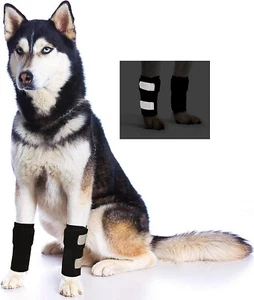 Dog & Cat Front Leg Braces Carpal Support with Safety Reflective Straps Hooks - Picture 1 of 7