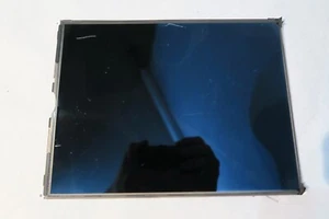 Apple iPad 7 8 9 Pantalla - Pantalla LCD de 10,2" (Para Piezas) - Imagen 1 de 12