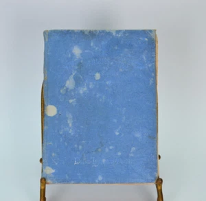 The Blues Cure & Other Stories 1892 von Delia Lyman Porter antike Kurzgeschichten - Bild 1 von 9