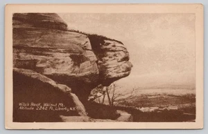 Witch Rock Walnut Mt Liberty New York NY Postcard - Picture 1 of 2