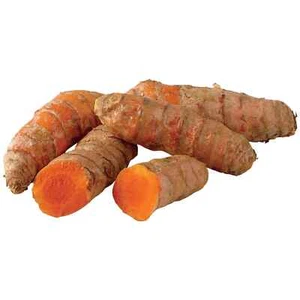 USDA Certified Organic Fresh Turmeric Root 1 lbs or more Grown in Florida - Picture 1 of 1