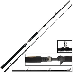 Westin 195cm XXH 40-130g W3 Jerkbait-T 2ND - Jerkbaitrute zum Angeln auf Hecht - Bild 1 von 4