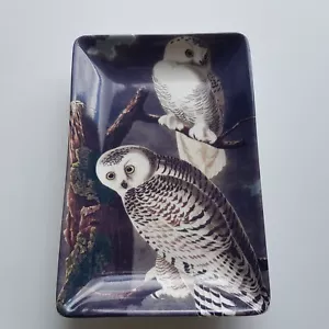 Magpie Snowy Owl Bird gothic art Audubon print Ceramic Tip Coin Tray 14cm - Picture 1 of 13