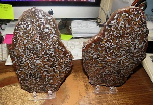 HUGE 10650 gm SERICHO PALLASITE METEORITE CUT BOTH HALVES OLIVINE JAL 23.4 LBS - Picture 1 of 9