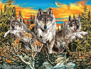 Jigsaw puzzle Animal Wild Sunset Prowlers 500 piece NEW Glow in the dark - Picture 1 of 1