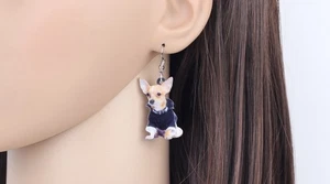 Chihuahua con pendientes suéter - Imagen 1 de 1