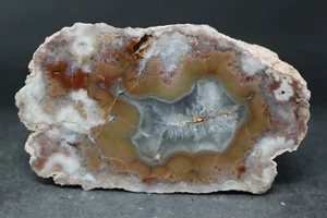Puma agate collector specimen (Fluorescent)  - Imagen 1 de 7