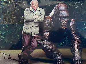 DAVID ATTENBOROUGH - WILDLIFE FILM MAKER - BRILLIANT SIGNED PHOTO - Picture 1 of 1