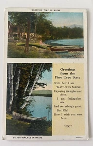 Postal de colección saludos desde el estado del pino abedules plateados en Maine.  - Imagen 1 de 3