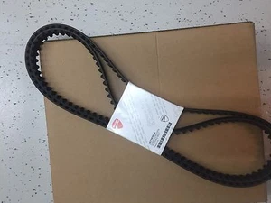 Ducati ST 4 timing belt - 73710101A - Ducati Toothed Belt - Picture 1 of 1