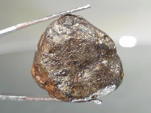 NWA 869, L3-6, 11,39g, Meteorite, buone condizioni e dimensioni, tiene una "stella cadente" - Foto 1 di 7