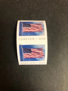 5342 Forever Flag Spule Paar ohne Stanzen - Bild 1 von 1
