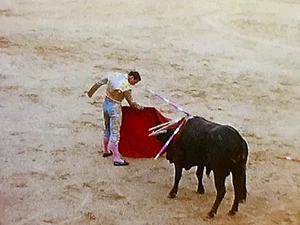 8mm Film 1963 Bullfight Tijuana 1960s Home Movie Mexico Matador Slow Motion - Picture 1 of 23