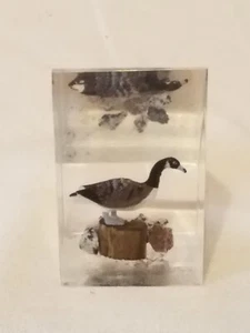 Pisapapeles de plástico duro acrílico Lucite vintage MCM 1970 - Loon bird - Imagen 1 de 6