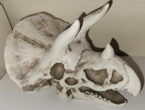 Large Resin Dinosaur Triceratops Skull Décor aquarium or home decor - Picture 1 of 7