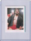 Ricky  Steamboat　*Hand cut Sticker 1983　BBM pro-Wrestling Japan