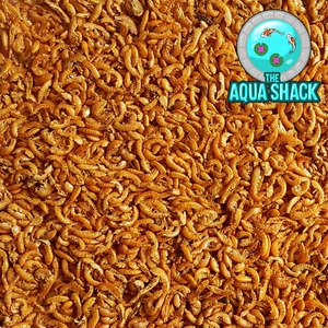 Camarón Gammarus Liofilizado - Comida para Peces Tortuga Terrapina Koi Proteína Tropical - Imagen 1 de 2