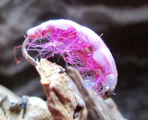 Gilchrist Fliegen. 3 x PINK PEA NYMPHEN. Czechnymphe. Auswahl von Größen - Bild 1 von 1