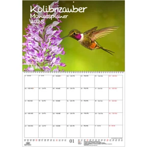 Kolibrizauber Planer DIN A2 Kalender für 2025 Kolibri - Seelenzauber - Bild 1 von 1