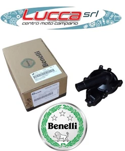 27931660BG01 Benelli TRK 702 Water Pump Cover - TRK 702 X 2023 2024 - Picture 1 of 1