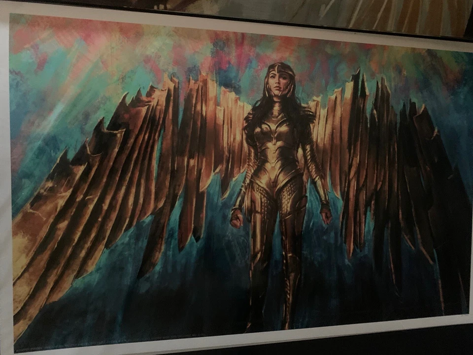 Serigrafía artística Alice Zhang Gal Gadot Mujer Maravilla BNG artista 14x22 Foto 1 de 1