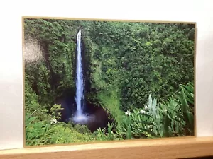 Akamai Falls, Hamakua Küste: Hilo, HI - Vintage Postkarte - Bild 1 von 3