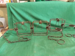 Lot of 3 vintage size 110 Conibear body grip animal traps. Muskrat mink - Picture 1 of 7