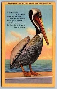 Postcard Greetings From Big Bill The Pelican New Orleans Louisiana LA Bird - Picture 1 of 2