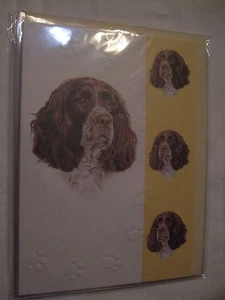 CARTE + ENVELOPPE - chien  SPRINGER SPANIEL - Picture 1 of 1