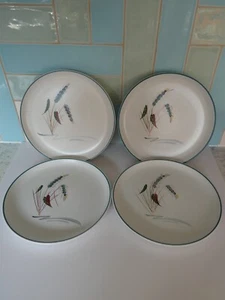 Denby Green Wheat Dinner Plate X 4 VGC Hardly Used Seconds Quality - see photos. - Picture 1 of 16