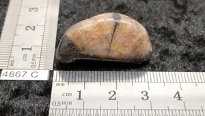 CHIASTOLITE ANDALOUSITE - pierre roulee naturelle - mineraux lithotherapie reiki - Picture 1 of 3