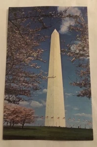 Cartolina Washington Monument Cherry Blossom Time Washington, DC (P2) - Foto 1 di 2
