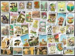 MUSHROOMS ON STAMPS 50 ALL DIFFERENT COLLECTION 25/5/25 - Picture 1 of 1