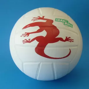 Volleyball Echt-Leder TOX Lean-Boll 25% leichter NEU Grösse 5 Balldruckprüfer - Bild 1 von 3