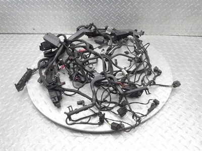 BMW R1200RS 2016 15-18 cableado del motor principal cable telar OEM Foto 1 de 4